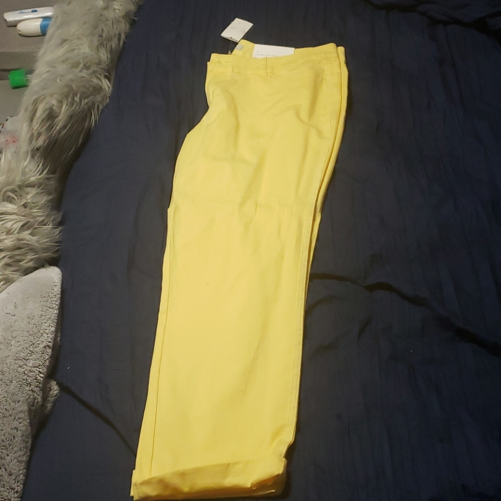 Pants
